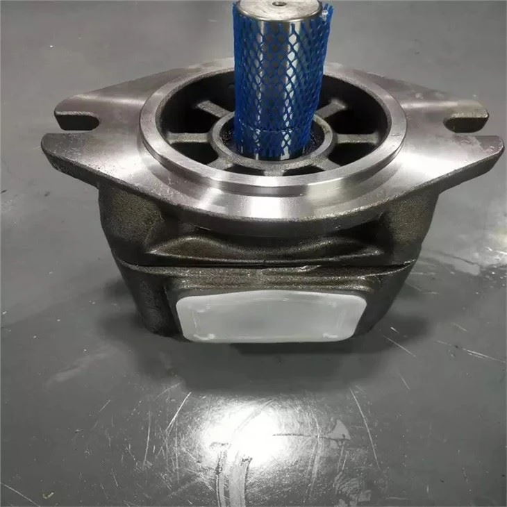 Sunny Hydraulic Pump HG2-125-01R-VPC-F HYTEK HG1-40-01R-VPC-36 For Injection Molding Machine Sunny Hydraulic Pump HG2-125-01R-VP